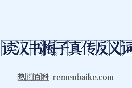 读汉书梅子真传反义词是什么意思的图片